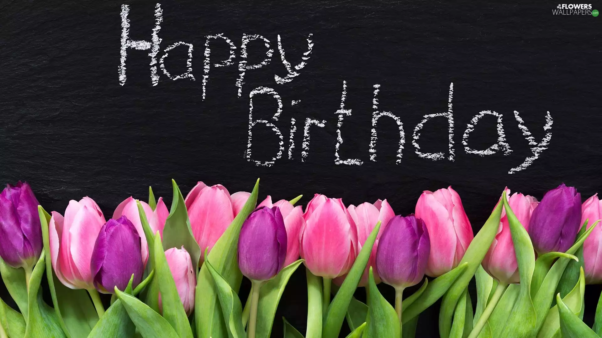 birthday, table, Tulips, text