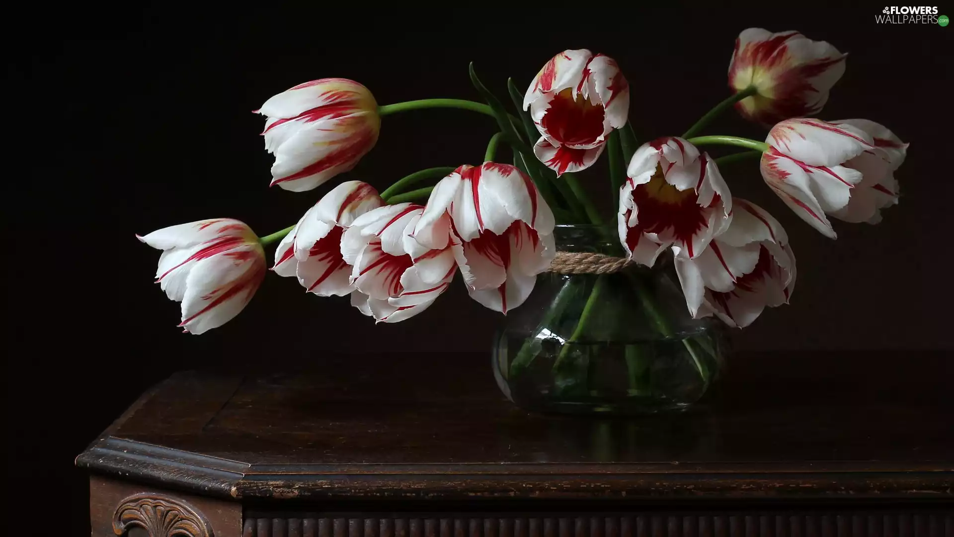 Tulips, Vase, table, White-Red