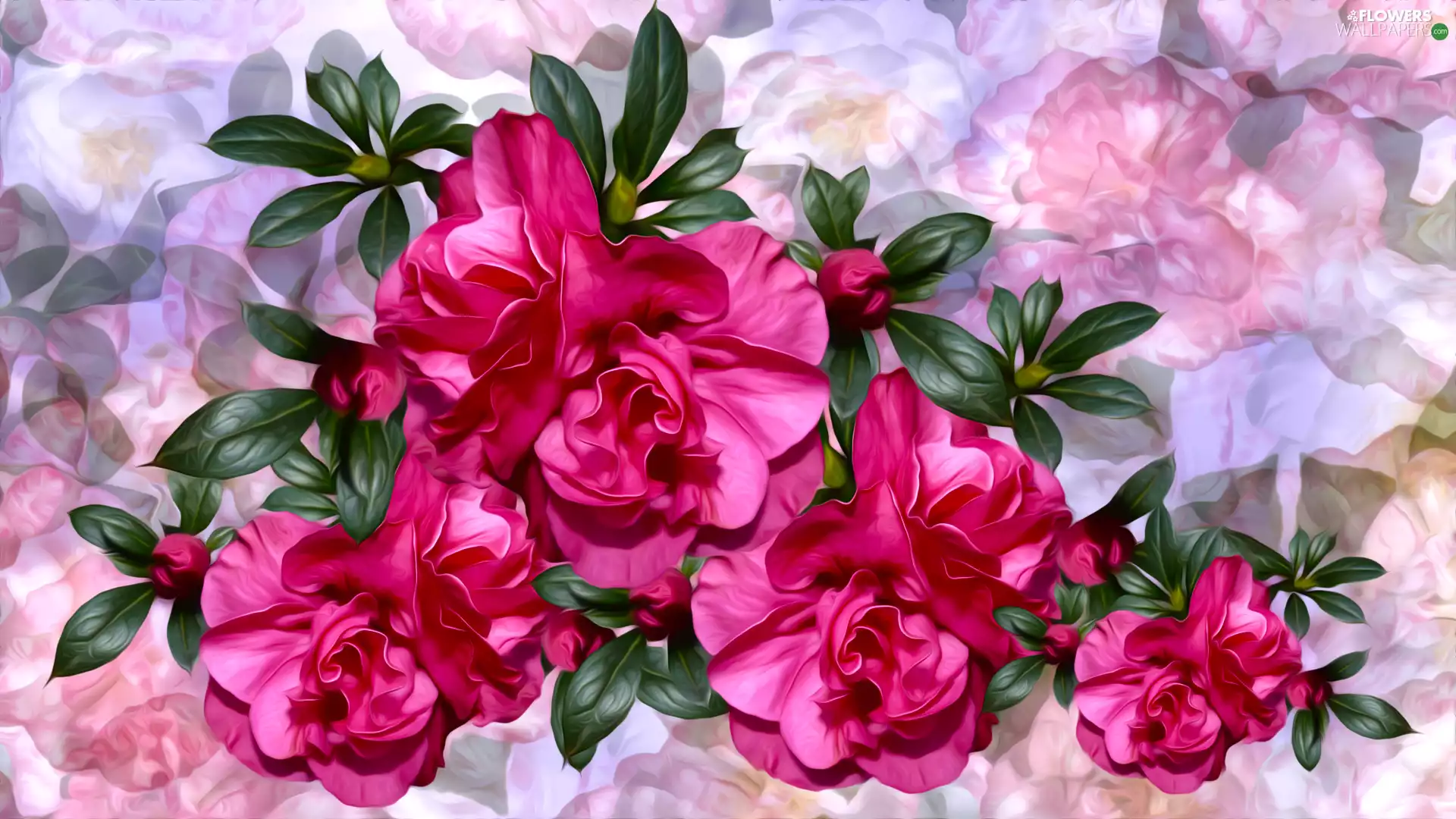 Flowers, Colorful Background, graphics, Camellias - Flowers wallpapers ...