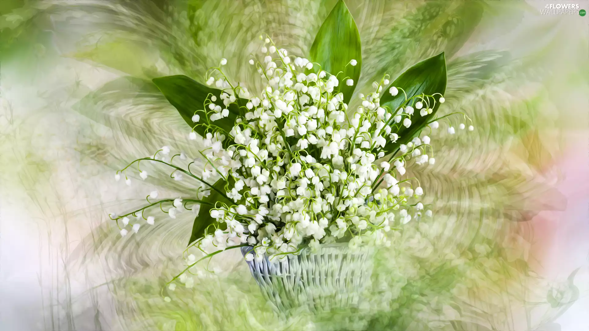 lily of the Valley, basket, Flowers, bouquet, graphics - Flowers ...