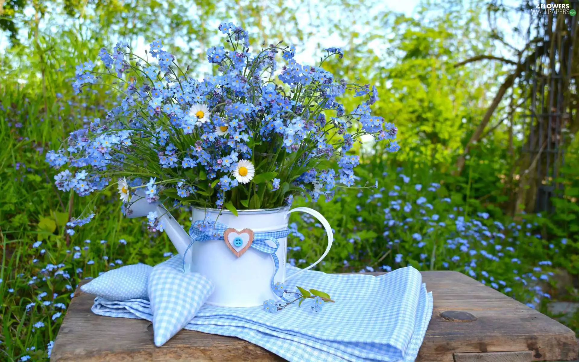watering can, Forget, heart, daisies, bouquet, rag, tablecloth