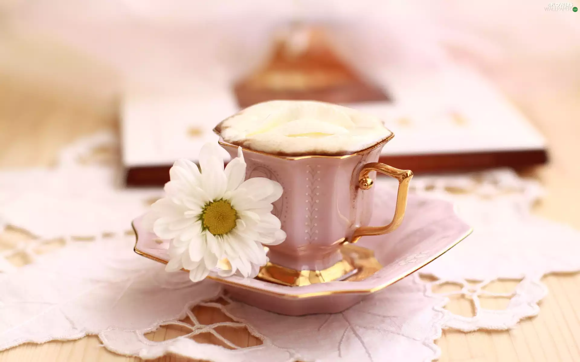 White, Daisy, plate, coffee, cup
