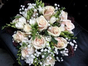 bouquet, cream, roses