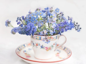 cup, Forget, Muscari, Flowers